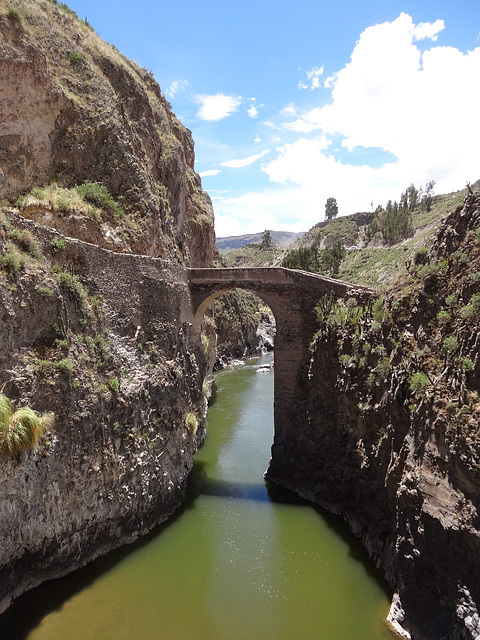 Le Canyon de la Colca  Pérou