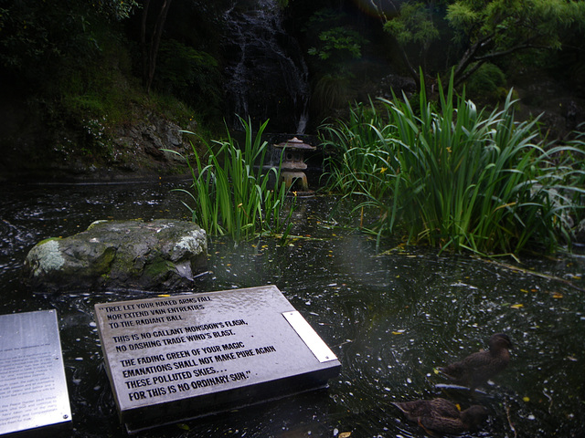 peace to the world, botanical garden, wellington