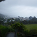 view from the botanical gardens, Wellington