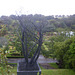 botanical gardens, Wellington
