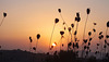 Quand le soleil se fait caresser..!