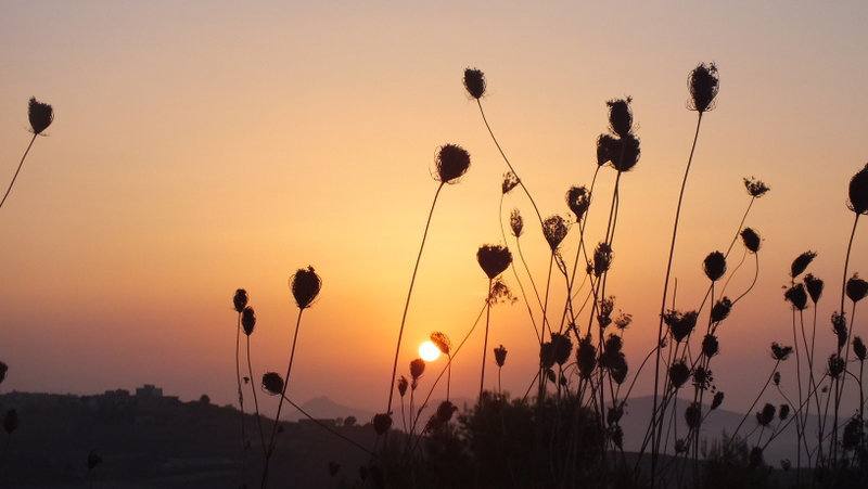Quand le soleil se fait caresser..!