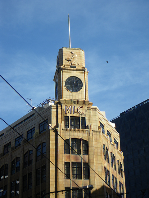Wellington City Center