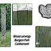 Burgess Park Wood carvings