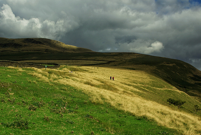 junction of paths