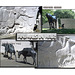 Animals in War - collage 1 - Park Lane - London