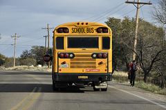 Bus Stop