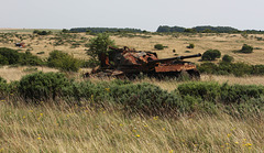 rusty camouflage