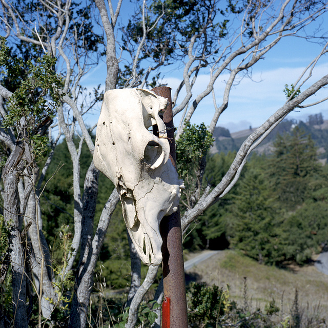 Trail Sign