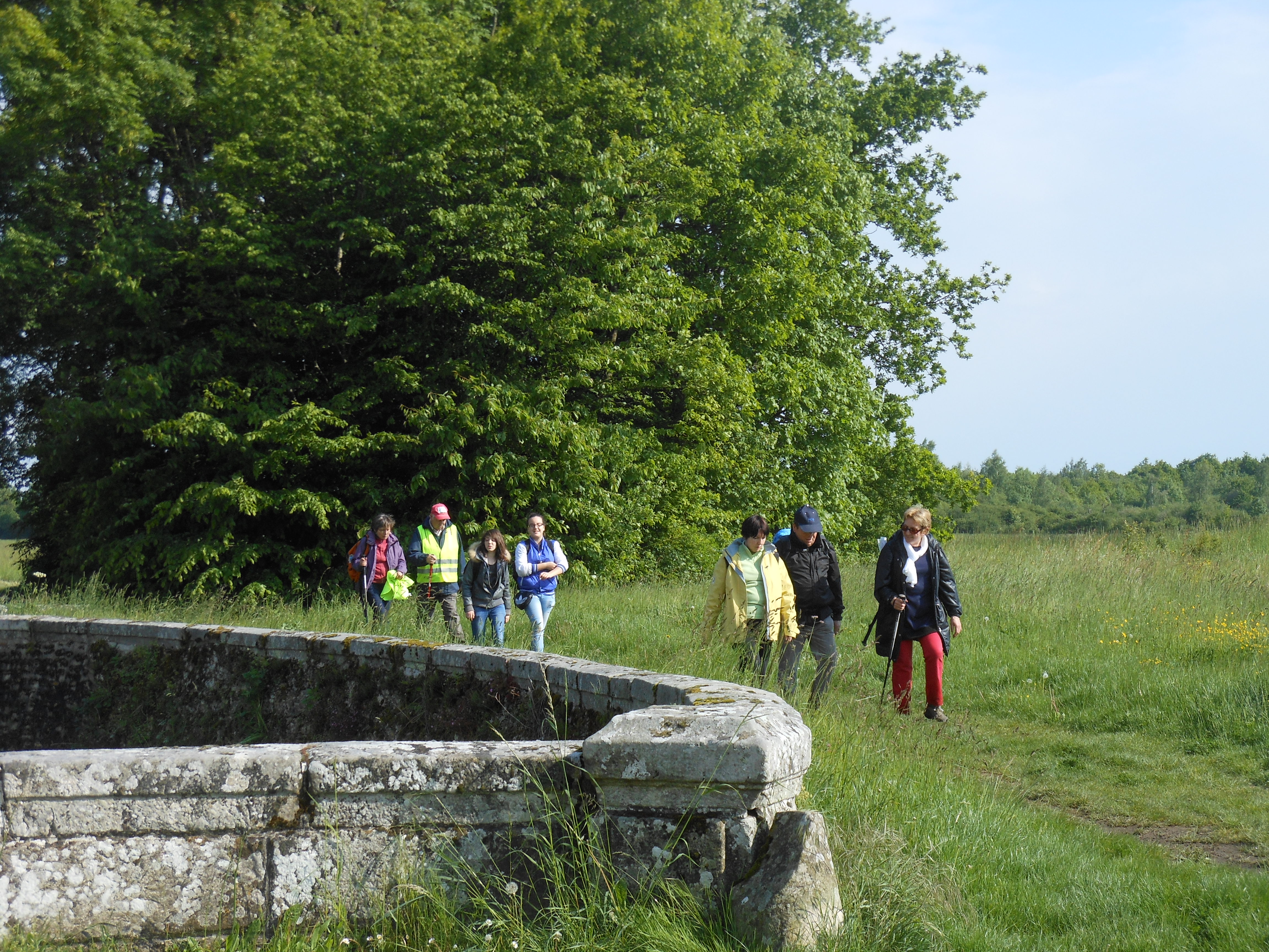 Randonnée Bombon-La Chapelle Gauthier-Bombon  - 25/05/2013