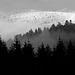 first hoarfrost on the trees