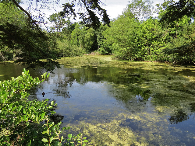 wanstead park, london