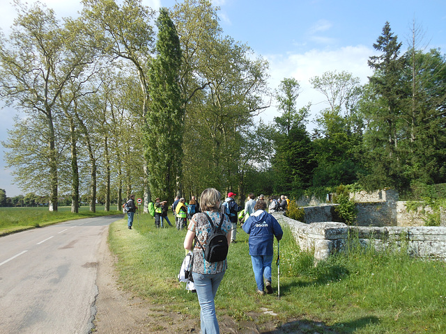 Randonnée Bombon-La Chapelle Gauthier-Bombon  - 25/05/2013