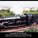 Photo by Alan Newman of GWR 4-6-0 4936 Kinlet Hall on the West Somerset Railway at Blue Anchor - 31.3.2001