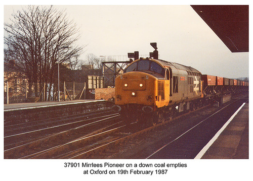 37901 at Oxford 19 2  87