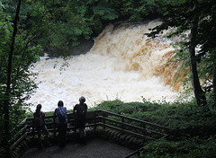 Aysgarth Middle Falls