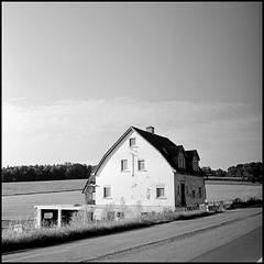 Haus