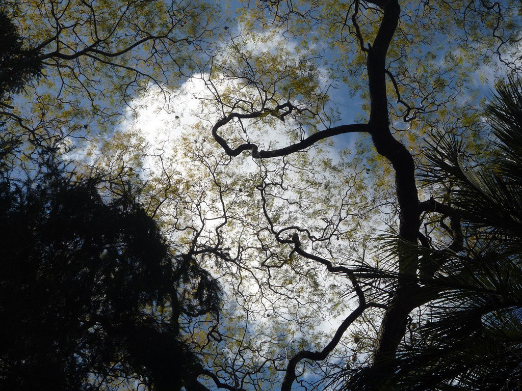 Cielo porteño