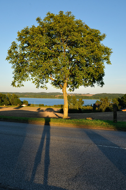 lange Schatten