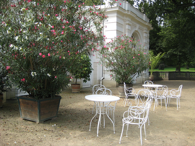 Schloss Wiepersdorf - Cafe im Park