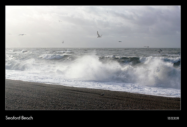 Seaford Beach - 13.12.2011