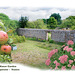 Fruit, flowers & view  Manor Garden Bishopstone 13 9 10