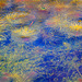 Monet must have used Photoshop* - Bishopstone Pond - 16.4.2012