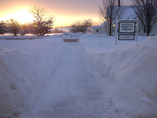 Snow Where I Work