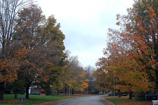 Fall in the neighbourhood