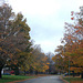 Fall in the neighbourhood