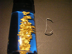 Gold visit no1 2005