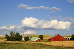 Eastern Washington Farm