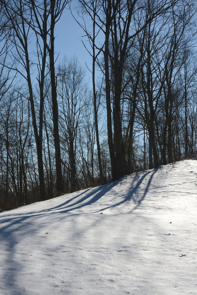 Cold winter's afternoon
