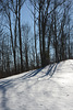 Cold winter's afternoon