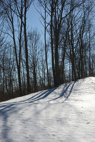 Cold winter's afternoon