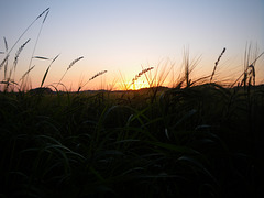 Sunset over Bornholm