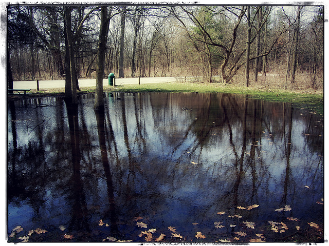 Spring Pool