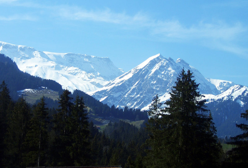 Blick von Adelboden