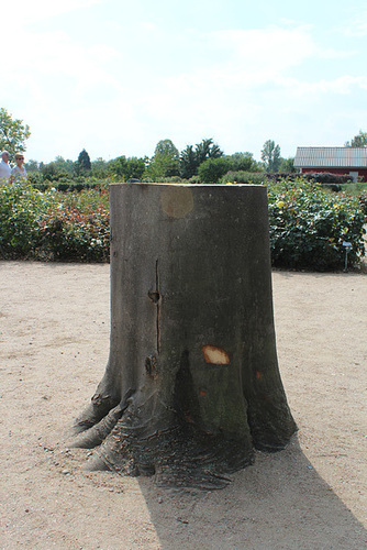 Die Letzten ihrer Art