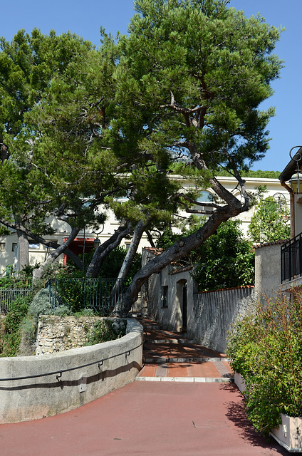 MONACO: La ruelle Sainte-Barbe.