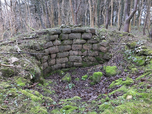 Kiln lining