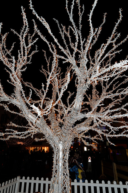 MONTBELIARD: Marché de Noël 02