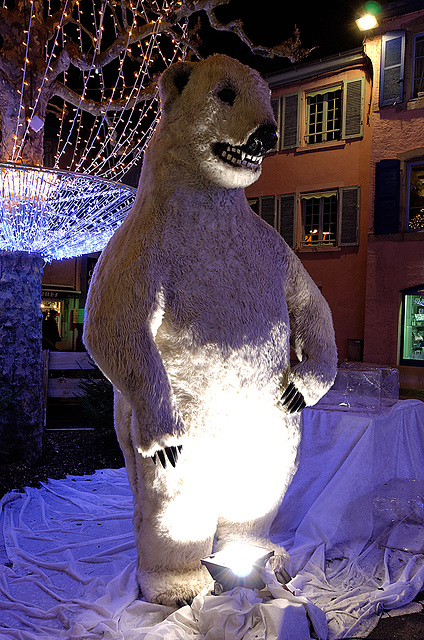 MONTBELIARD: Marché de Noël 04