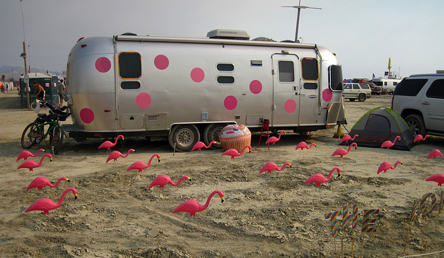 Pink Flamingos (4865)