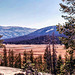 Tuolumne Meadows from Pothole Dome, Yosemite NP, September 1978 (090°)