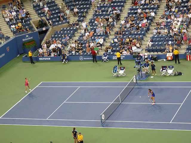 Bencic v. Jankovic