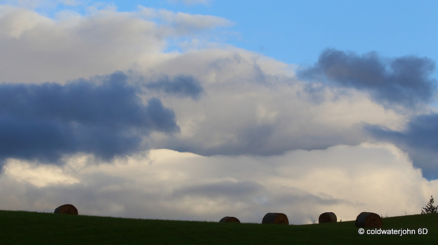 Evening Skies