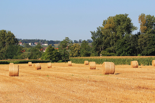 Der Herbst naht