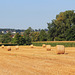 Der Herbst naht