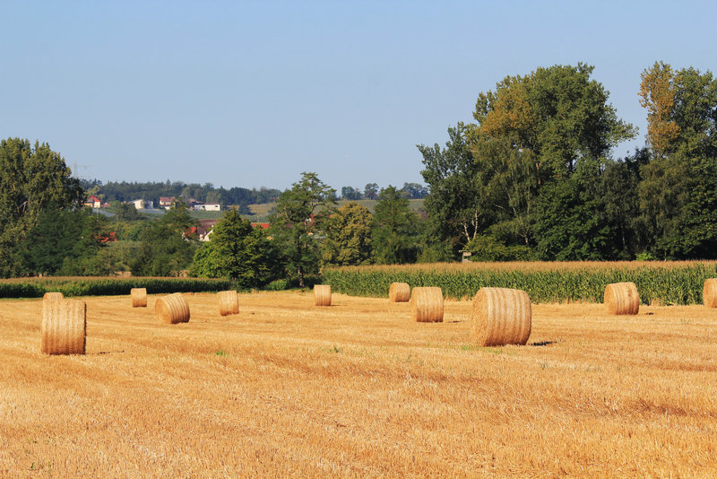 Der Herbst naht